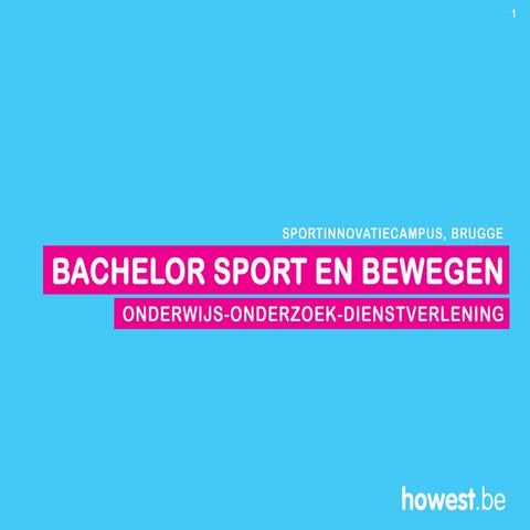 Flyer Beroepsprofielen Pdf