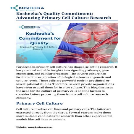 Kosheeka’s Quality Commitment: Advancing Primary Cell Culture Research