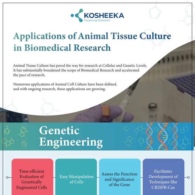 Applications of Animal Tissue Culture in Biomedical Research
