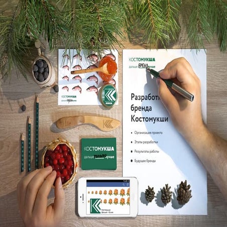 Разработка бренда Костомукши