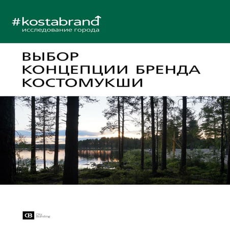 CBCD модель. Выбор концепции бренда Костомукши