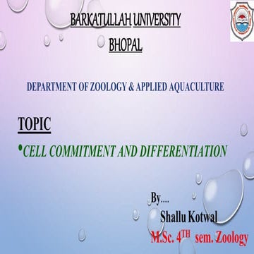 cell commitment and differentiation, stem cell,types of differentiation