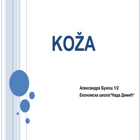 Кожа - А. Бунош | PPT