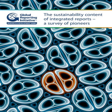 The Sustainability Content of Integrated Reports -  A Survey of Pioneers (iNu...