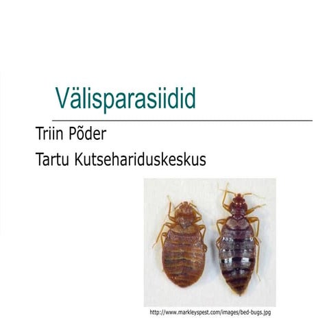 Parasiidid | PPT