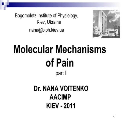 Molecular Mechanisms of Pain. Part 1