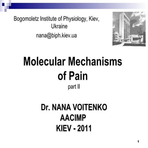 Molecular Mechanisms of Pain. Part 2