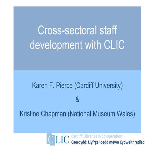 Karen Pierce and Kristine Chapman CDG2012 - Cross-sectoral staff development ...