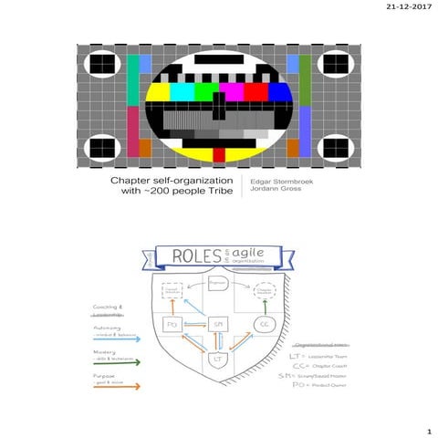 Kpn tv chapter self organization