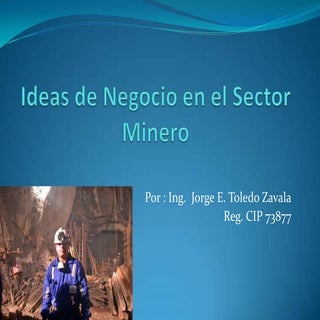 Ideas de Negocios en el Sector Mine...