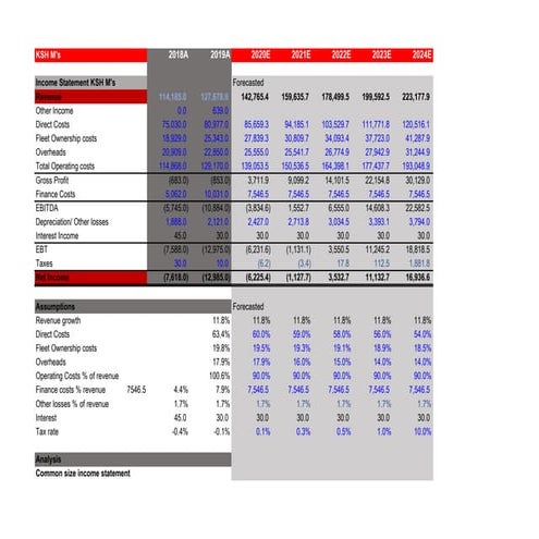 KENYA AIRWAYS STATEMENT ANALYSIS- CIFA LUDENYO