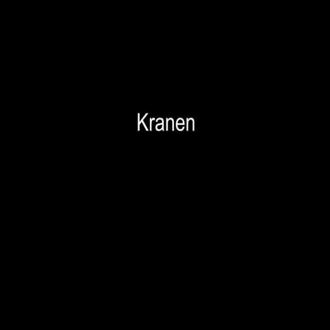 Kranen