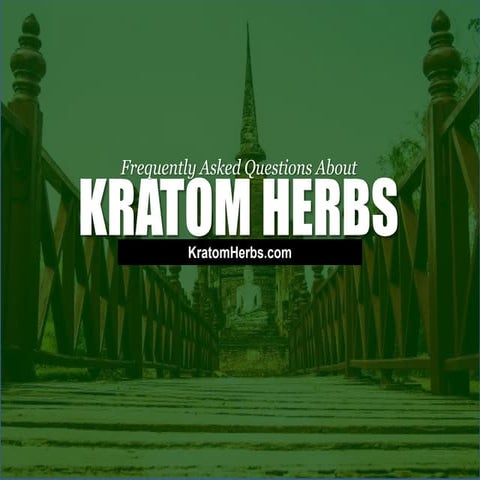 Frequently Asked Questions About Kratom Herbs