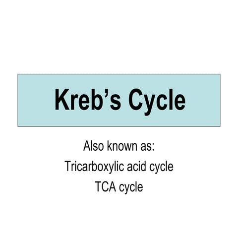 Krebs Cycle