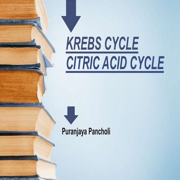 Krebs cycle 