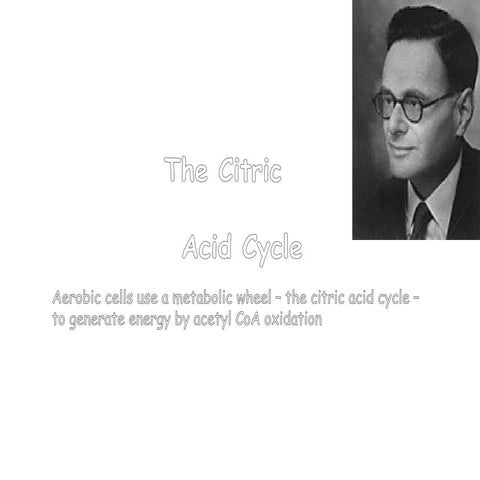 Krebs cycle and enzymes final 12 OCT 23.pptx