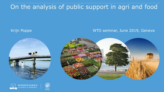 Krijn Poppe policy analysis wto geneva