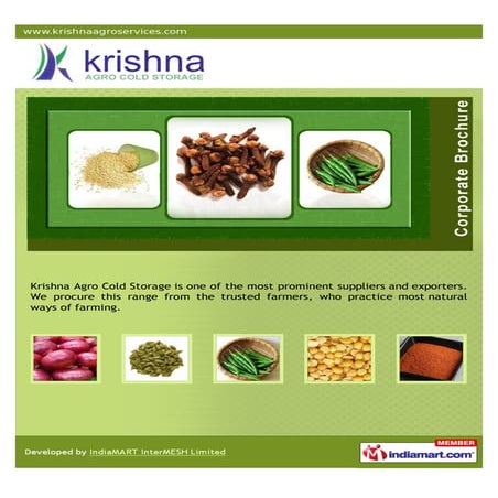 Krishna Agro Cold Storage, Surat, Cold Storage Services