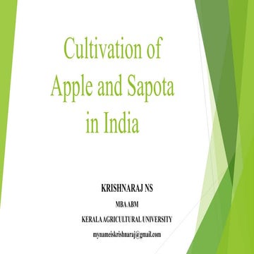 CULTIVATION OF APPLE AND SAPOTA IN INDIA