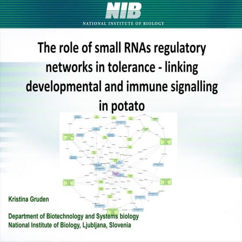 The Role Of Small RNAs Regulatory Networks In Tolerance - Linking Developmental And Immune Signalling In Potato