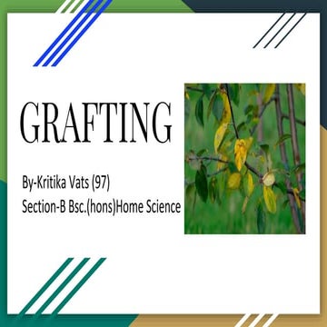 Grafting
