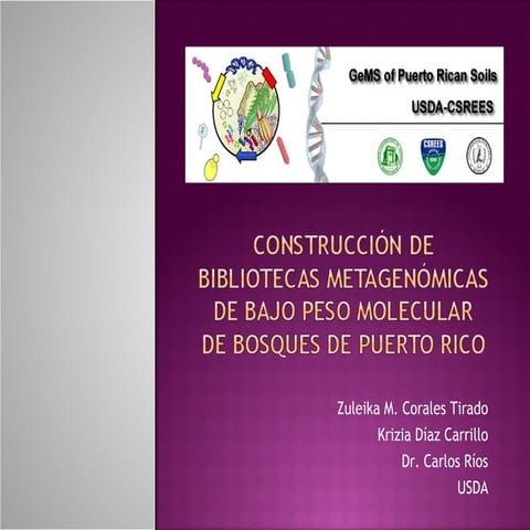 Construcción de Bibliotecas Metagenómicas de Bajo Peso Molecular de Bosques en Puerto Rico!!!