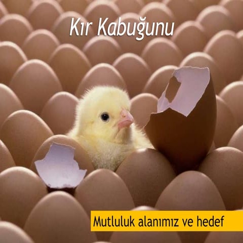 Kır Kabuğunu