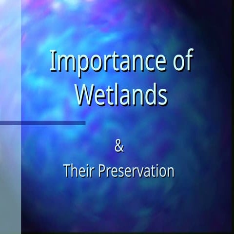 The Importance of Wetlands and Their Preservation: Ecosystem Benefits ...