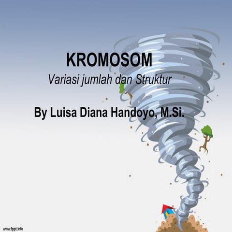 Kromosom