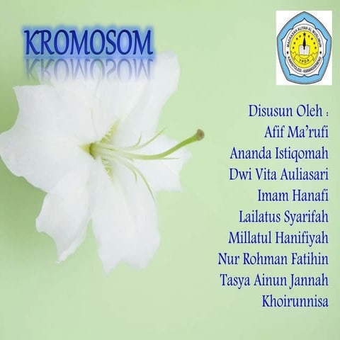 Kromosom