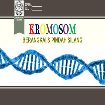 KROMOSOM, BERANGKAI dan PINDAH SILANG
