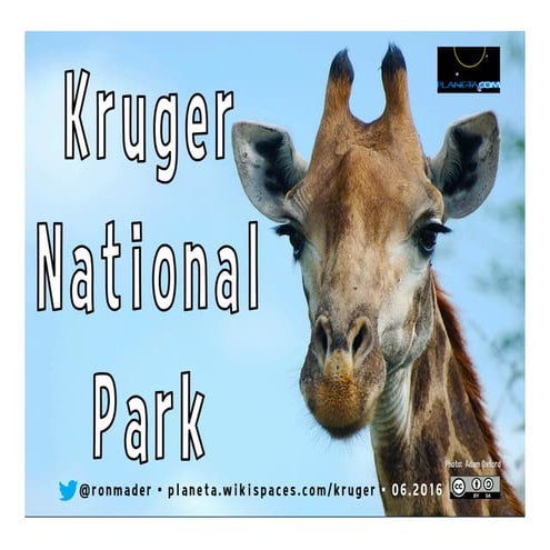 Kruger National Park on the Social Web
