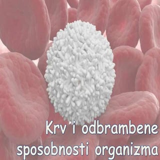 Krv. Odbrambene sposobnosti organizma.