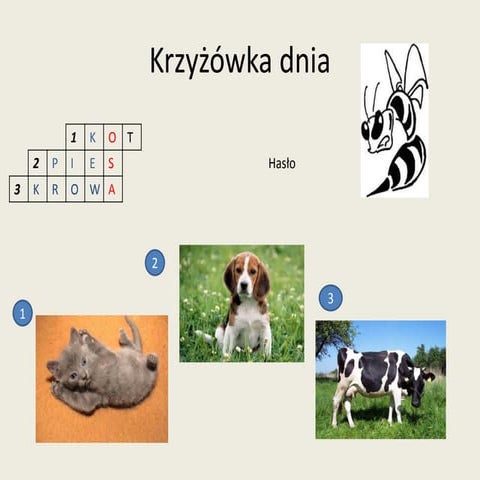 Krzyżówka dniapdf