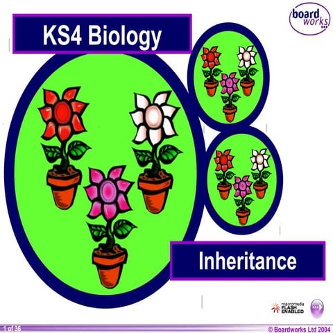 Ks4 inheritance