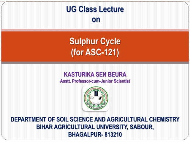 -Sulphur cycle.ppt