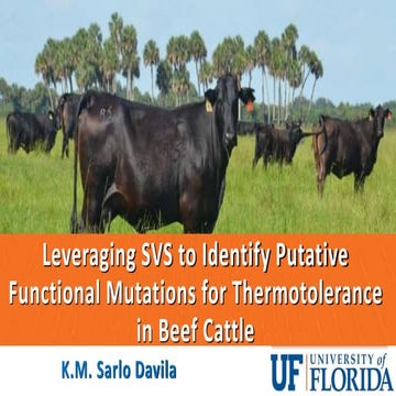 Leveraging Snp Variation Suite To Identify Putative Functional