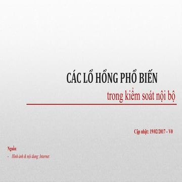 Internal control - Hệ thống kiểm soát nội bộ