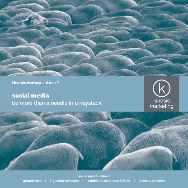 Kinesis Marketing Social Media Brochure