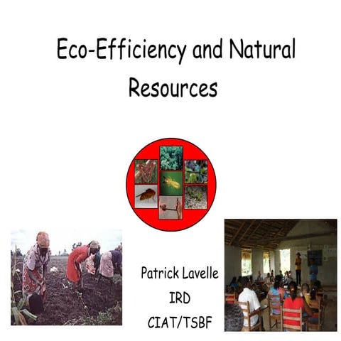 Eco-Efficiency and Natural Resources