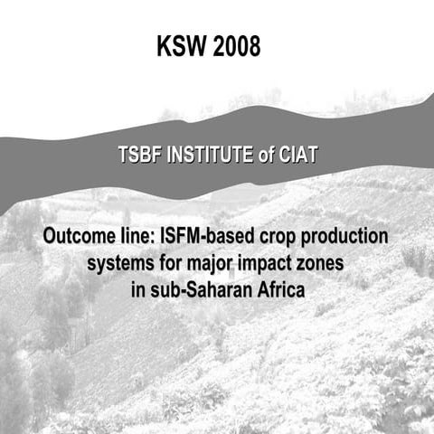 TSBF Institute of CIAT: ISFM-based crop production