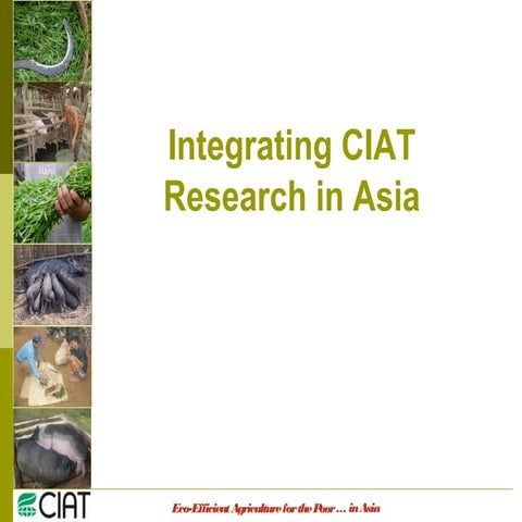 Integrating CIAT Research in Asia