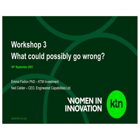Women in Innovation - Risk Register: What Could Possibly Go Wrong