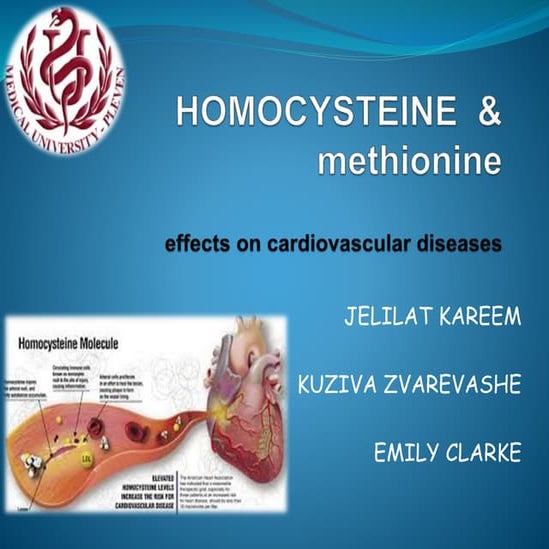 Homocysteine and methionine