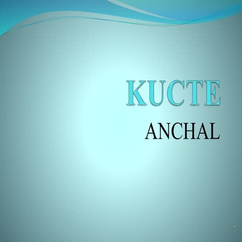 Power Point Presentation