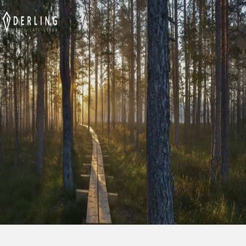 Business Breakfast - Ave Piik esitlus: Kuidas viia ettevõte kooskõlla uue isi...