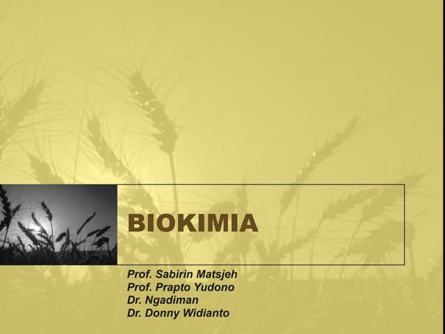 KulBiokim2006B1.pptKulBiokim2006B1.pptKulBiokim2006B1.pptx