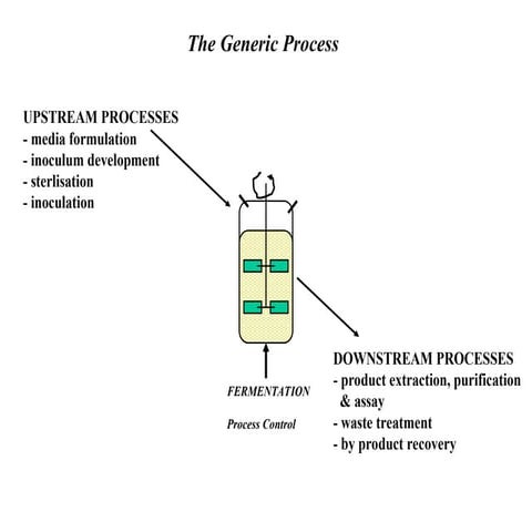 Kuliah 2 Fermentation2.ppt  kuliah fermentasi pangan