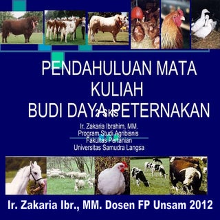 Kuliah budidaya peternakan dan pera...