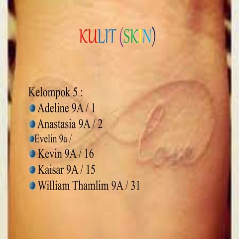 1. Struktur dan Fungsi Kulit.pptx